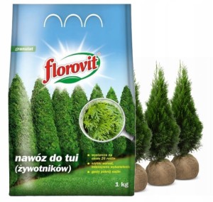 Florovit nawóz do tui żywotników 1 kg granulat 