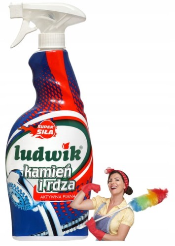 Ludwik preparat do czyszczenia kamienia i rdzy 750 ml