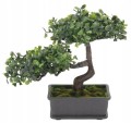 Sztuczna roślina w doniczce drzewko bonsai 23x15 cm