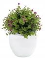 Doniczka ceramiczna kula biało-szara 15 cm