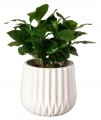Doniczka ceramiczna ryflowana 13 cm biała