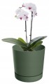 Doniczka z podstawką zielona pinia 23,9 cm Tubo