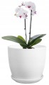 Doniczka ceramiczna z podstawką 16 cm biała