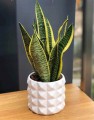Osłonka na doniczkę okrągła geometryczna biała 13 cm