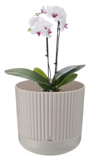 Doniczka dekoracyjna plastikowa z podstawką beżowa Nostalgia 15x16 cm