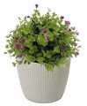 Doniczka osłonka plastikowa taupe 16 cm Magnolia Jumper