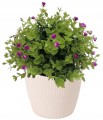 Doniczka osłonka plastikowa jasny beż 16 cm Magnolia Jumper