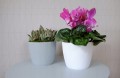 Doniczka osłonka plastikowa jasny beż 16 cm Magnolia Jumper
