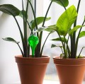 Zestaw 2 kul nawadniających do kwiatów 400ml