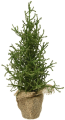 Drzewko świąteczne mini choinka 30 cm