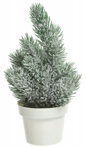 Drzewko świąteczne w doniczce białej 20 cm