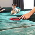 Vileda Pet Pro Szczotka elektrostatyczna do zamiatania sierści i włosów