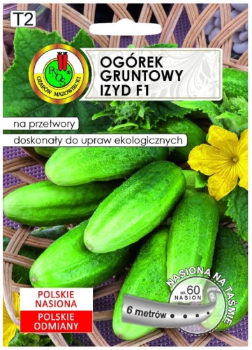 Ogórek nasiona 'Izyd' F1 średnio wczesny 6m taśmy idealny do konserwowania