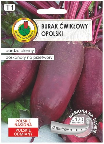 Burak ćwikłowy opolski cylindryczny na taśmie 6m nasiona 