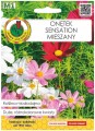 Onętek sensation mieszany nasiona 1,5g Roślina pożyteczna dla pszczół
