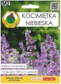 Kocimiętka niebieska nasiona 0,5g Ozdobna roślina pożyteczna dla pszczół