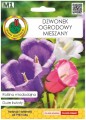 Dzwonek ogrodowy mieszany nasiona 1g Miododajna roślina dwuletnia