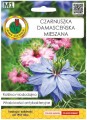 Czarnuszka damasceńska mieszana 1g Miododajna roślina jednoroczna