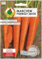 Marchew pierwszy zbiór nasiona na taśmie 6m Odmiana wczesna