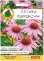 Jeżówka purpurowa nasiona 1g Roślina miododajna i lecznicza