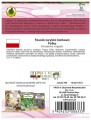 Fasola szparagowa Polka 30g żółta Odmiana karłowa średnio wczesna