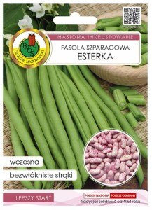 Fasola szparagowa zielona Esterka 30g Odmiana wczesna karłowa 