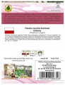 Fasola szparagowa zielona Esterka 30g Odmiana wczesna karłowa