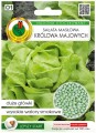 Sałata Królowa Majowych 100 nasion wczesna odmiana