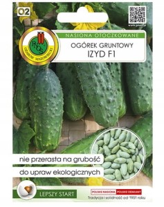 Ogórek Izyd F1 wyjątkowa odmiana średnio wczesna o wysokiej plenności