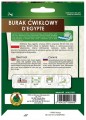 Burak ćwikłowy D EGYPTE taśma 6 m Wczesna i plenna odmiana egipska
