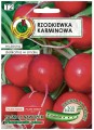 Rzodkiewka Karminowa taśma 6m Plenność, smak