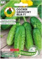 Ogórek Reja F1 6m taśmy z nawozem Platnacote Średnio wczesna odmiana