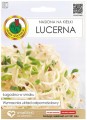 Nasiona na kiełki Lucerna 30g Delikatny smak