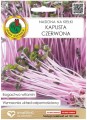 Nasiona na kiełki Kapusta czerwona 8g Smak natury i zdrowie w jednym