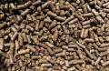 Obornik nawóz naturalny kurzy granulowany uniwersalny organiczny 10L