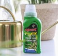 Nawóz do palm juk i dracen 250ml odżywka w Żelu