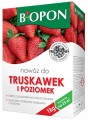 Nawóz do truskawek i poziomek 1kg intensywny wzrost i obfite plony