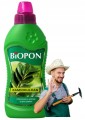 Nawóz do zamiokulkasa 500ml Intensywny wzrost i bujna zieleń