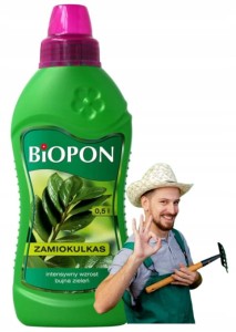 Nawóz do zamiokulkasa 500ml Intensywny wzrost i bujna zieleń