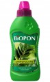 Nawóz do zamiokulkasa 500ml Intensywny wzrost i bujna zieleń