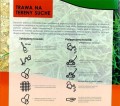 Biopon Trawa na tereny suche 2kg Odporna na susze zielona oaza