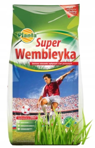 Trawa boiskowa Super Wembleyka 5 kg Na tereny intensywnie użytkowane