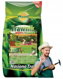 Mieszanka Traw Gazonowych 5kg Wolnorosnący Trawnik