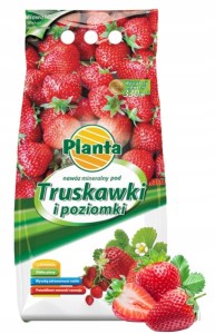 Nawóz mineralny do truskawek i poziomek 10kg Zdrowe rośliny obfite plony