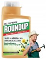 Roundup AntyChwast 140ml Preparat chwastobójczy