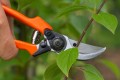 Sekator ogrodowy do gałęzi 21cm Kowadełkowy, stalowe ostrze