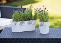 Osłonka ażurowa antracyt Aster 14,5 cm