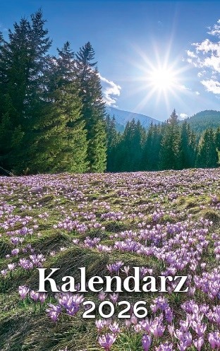 Kalendarz zdzierak tradycyjny dzienny 2026 zrywany różne wzory 1szt
