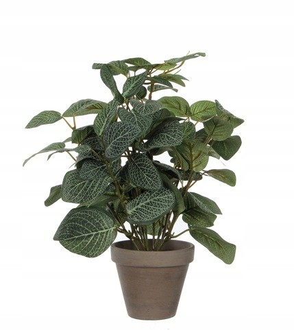 Kwiatek sztuczny w doniczce dekoracyjny Pilea 35cm 1szt