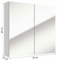 Szafka łazienkowa wisząca z lustrem biała 65x60x13 cm Salsa